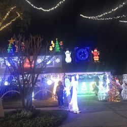 Temple Terrace Light Show