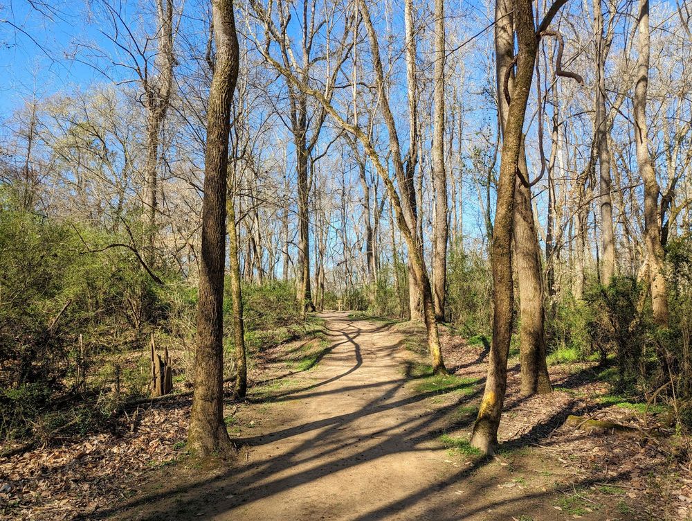 BOONE’S CAVE PARK Updated July 2024 54 Photos & 12 Reviews 3552