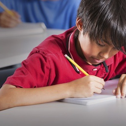 We can also help with test anxiety, test prep, and organizational skills.