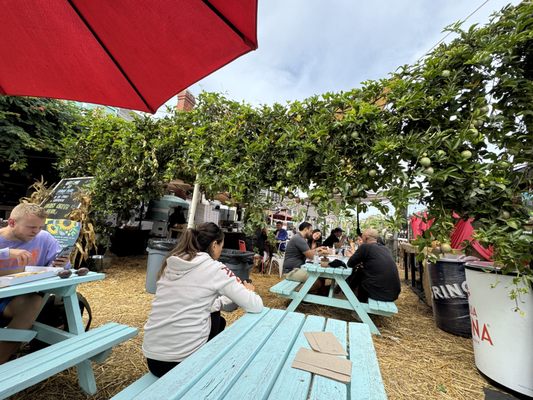 Fiorelli Pizza by null