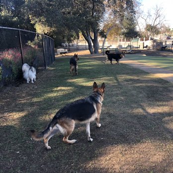 San Dimas Dog Park - Missy & her friends at the dog park - Dog Parks Near Me - San Dimas, California