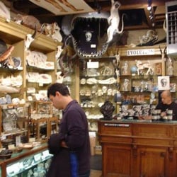 The Evolution Store