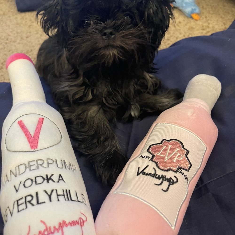 Shanti with her bottle service by Lisa Vanderpump Shanti with her bottle service by Lisa Vanderpump