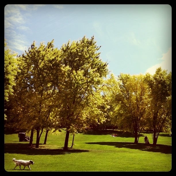 Parc de la Torse