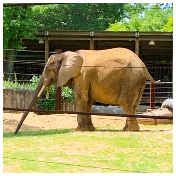 The Toledo Zoo - Zoos Near Me - Toledo, Ohio