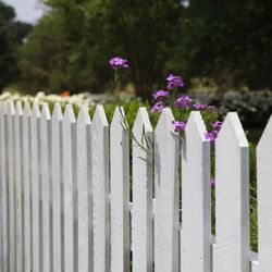 Mr. Fence