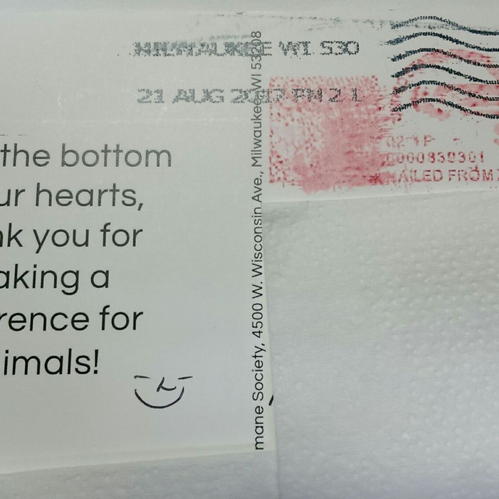 Wisconsin Humane Society - That's cool, my last 6 + years of donations from the previous Humane Society never sent any thank you. - Animal Shelters Near Me - Milwaukee, Wisconsin Wisconsin Humane Society - That's cool, my last 6 + years of donations from the previous Humane Society never sent any thank you. - Animal Shelters Near Me - Milwaukee, Wisconsin