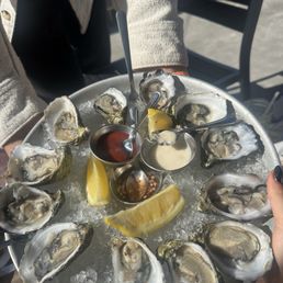 Oysters