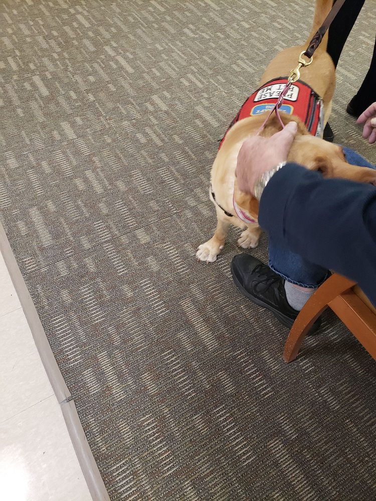 HENRY FORD LAB SERVICES HENRY FORD WEST BLOOMFIELD HOSPITAL Updated