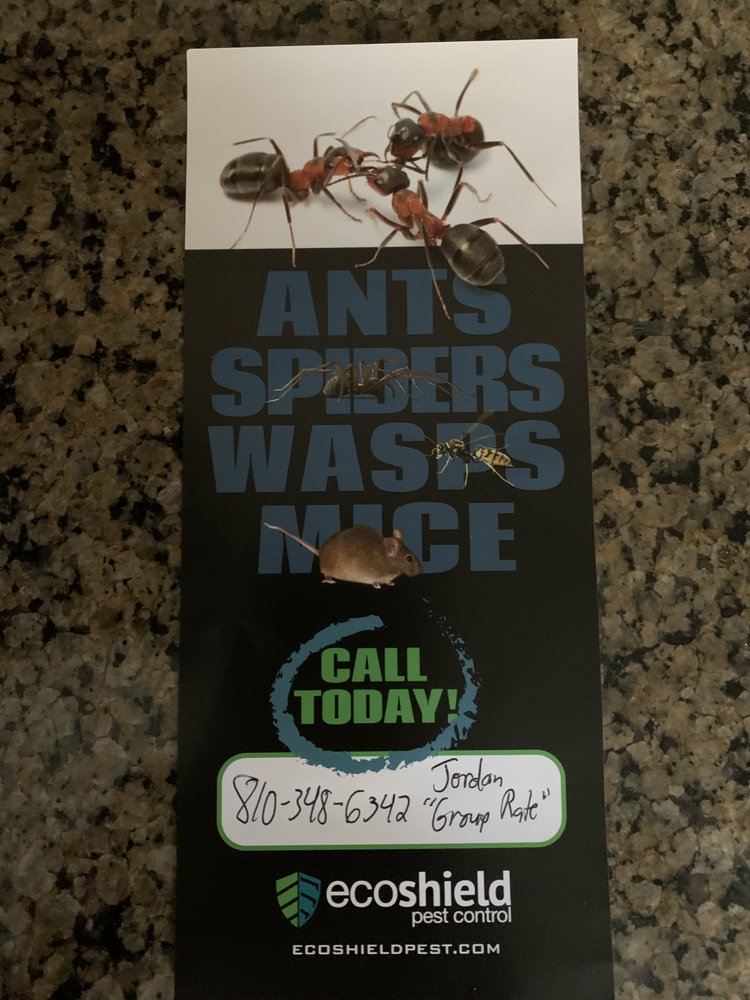 Ecoshield Pest Control Nipodcove Ecoshield Pest Control Nipodcove