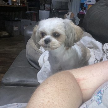 Mr Mutt Dog Wash - Pet Groomers Near Me - Rowlett, Texas Mr Mutt Dog Wash - Pet Groomers Near Me - Rowlett, Texas