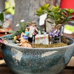 Norens Nursery - "Fairy" garden