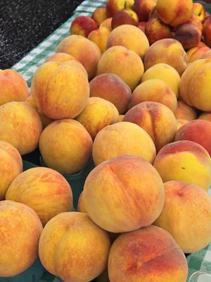 Sellwood Moreland Farmers Market by null