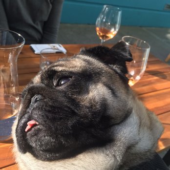 Wine Down SF - Rosè all day - Wine Bars Near Me - San Francisco, California Wine Down SF - Rosè all day - Wine Bars Near Me - San Francisco, California