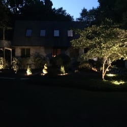 The Lawn Salon - New bushes