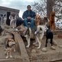 Photo of Fido's Pal