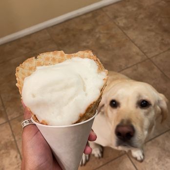 cold stone puppy ice cream