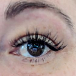 The Lash Lounge
