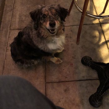 The Roxy Encinitas - Pet-friendly patio. Listening to the Saturday night band. - Tapas/Small Plates Near Me - Encinitas, California