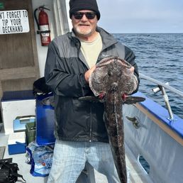 Highly recommended 20lb lingcod