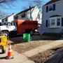 Photo of Magnolia Tree Solutions