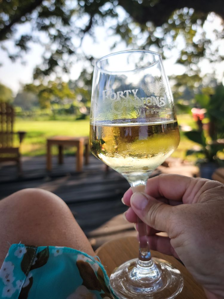 Social spots from Forty Cannons Winery