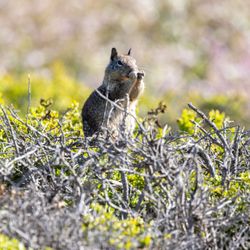Wilder Ranch State Park - Wilder Ranch State Park