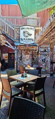 Hog's Breath Saloon by null