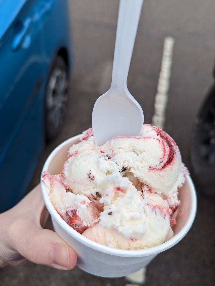 Humdoo Ice Cream Logo