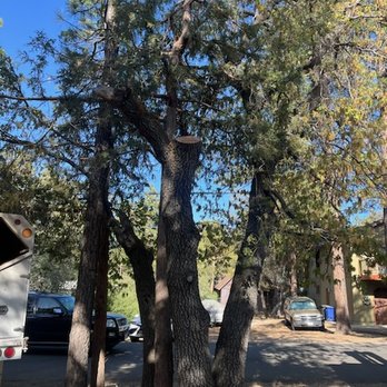 Mason's Treescape - Cut away a large dead part of one of my oak trees. - Tree Services Near Me - Hesperia, California