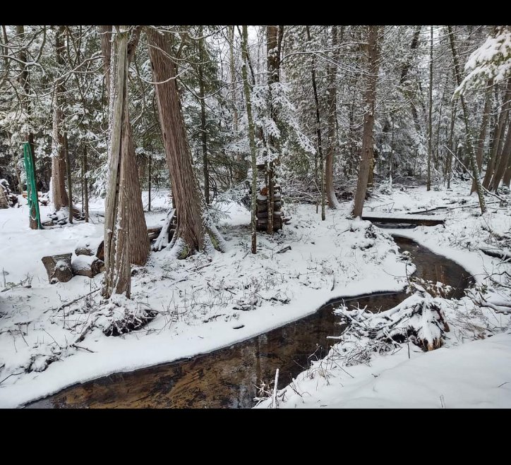 LAKEFRONT COTTAGE RENTAL 6050 E Townline Lake Rd, Harrison, Michigan