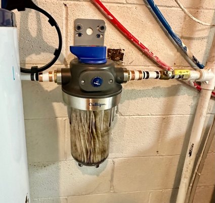 A Royal Flush Plumbing Logo