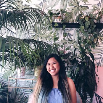 Holy Matcha - Tea Rooms Near Me - San Diego, California Holy Matcha - Tea Rooms Near Me - San Diego, California