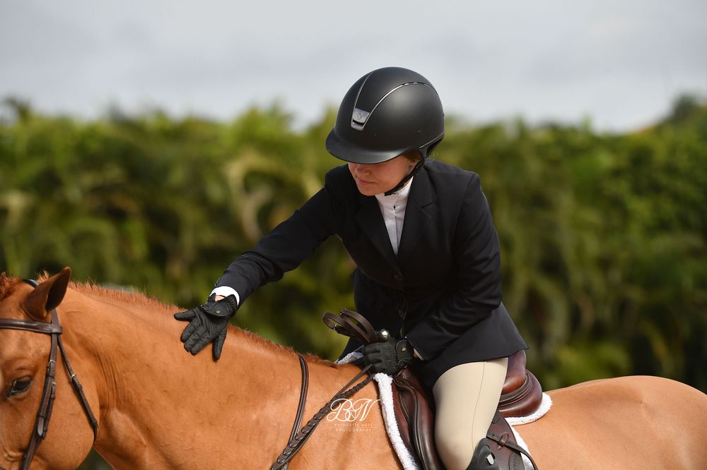 THREE SHIPS Updated August 2024 45 Photos 22810 Mule Barn Rd