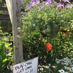 McTighe's Garden Center - Buy one get one free (half off)