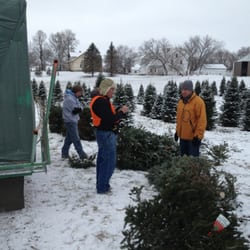 Z's Tree's Christmas Trees - Pick your own tree!