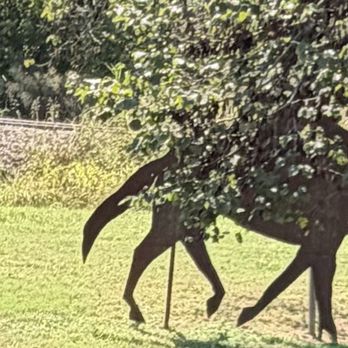 Historical Sculpture Gardens - Dog - Parks Near Me - Choctaw, Oklahoma
