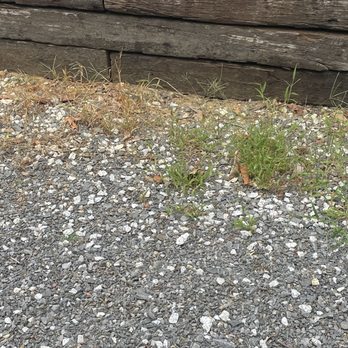 One Call To Riley - Round up spray (my round up) - Lawn Services Near Me - Hillsville, Virginia One Call To Riley - Round up spray (my round up) - Lawn Services Near Me - Hillsville, Virginia
