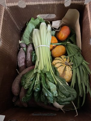 Eatwell Farm by null
