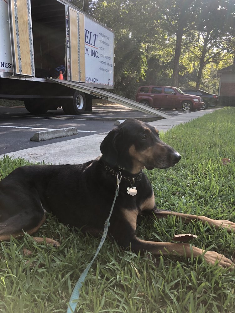 SUNBELT MOVING & DELIVERY Updated April 2024 19 Reviews 6629 SW