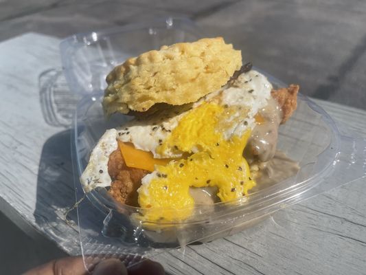 Handsome Biscuit by null