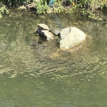Waterloo Greenway - Community Service/Non-Profit Near Me - Austin, Texas