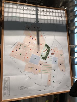 Château Troplong Mondot by null