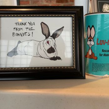 Radnor Veterinary Hospital - The waiting area. There's also a keurig machine that is not pictured. - Veterinarians Near Me - Wayne, Pennsylvania Radnor Veterinary Hospital - The waiting area. There's also a keurig machine that is not pictured. - Veterinarians Near Me - Wayne, Pennsylvania