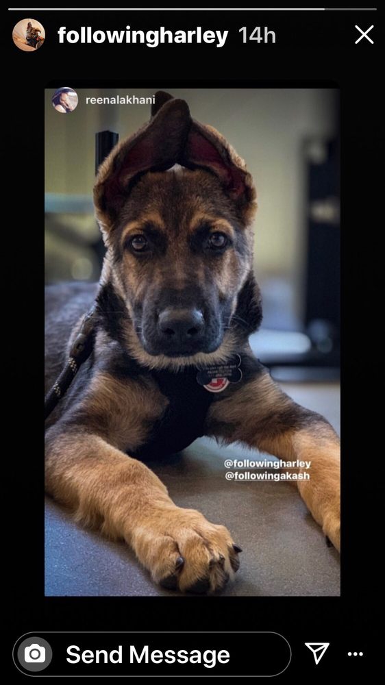 PETCO 118 Photos & 232 Reviews 200 S La Brea Ave, Los Angeles