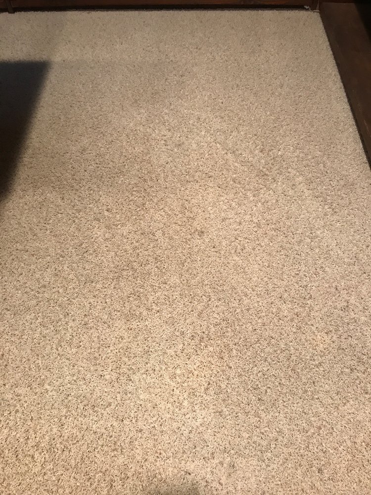 STEAM ACTION CARPET CLEANING COMPANY Updated August 2024 Beaver