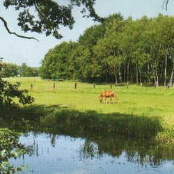 Naturparkgemeinde Maasdorf