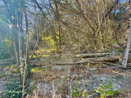 Sculpture Falls by null