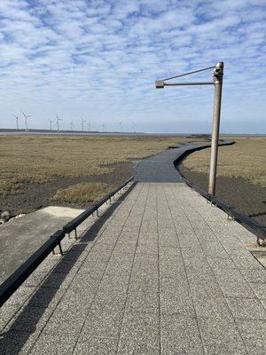 Gaomei Wetlands by null