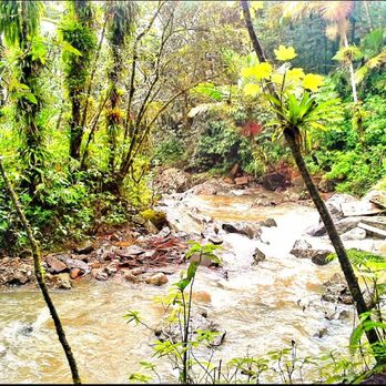 El Yunque Rainforest - Hiking Near Me - Luquillo, Puerto Rico El Yunque Rainforest - Hiking Near Me - Luquillo, Puerto Rico